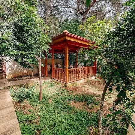Holy Stone House Akyaka * Ula